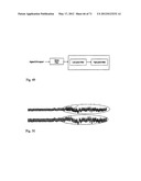 METHOD AND APPARATUS FOR DETERMINING HEART RATE VARIABILITY USING WAVELET     TRANSFORMATION diagram and image