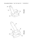 APPARATUS AND METHOD FOR BRAIN FIBER BUNDLE MICROSCOPY diagram and image