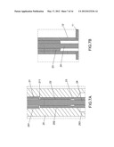 APPARATUS AND METHOD FOR BRAIN FIBER BUNDLE MICROSCOPY diagram and image