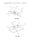 APPARATUS AND METHOD FOR BRAIN FIBER BUNDLE MICROSCOPY diagram and image