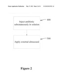 Ultrasonic dispersion of compositions in tissue diagram and image