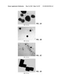 METHODS FOR PRODUCTION OF SILVER NANOSTRUCTURES diagram and image