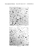 Method for Producing Coatings Having Anti-Reflection Properties diagram and image