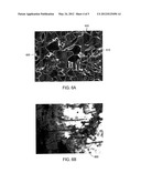 LOW YIELD RATIO DUAL PHASE STEEL LINEPIPE WITH SUPERIOR STRAIN AGING     RESISTANCE diagram and image