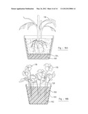 FOLDABLE PACKAGING CONTAINER diagram and image