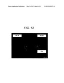 INTERCONNECTION STRUCTURE AND DISPLAY DEVICE INCLUDING INTERCONNECTION     STRUCTURE diagram and image