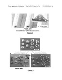 SHAPING NANOSTRUCTURE ARRAYS diagram and image