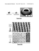 SHAPING NANOSTRUCTURE ARRAYS diagram and image