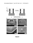 SHAPING NANOSTRUCTURE ARRAYS diagram and image