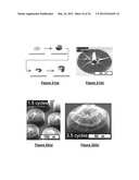 SHAPING NANOSTRUCTURE ARRAYS diagram and image