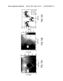 METHOD AND SYSTEM FOR PROCESSING ULTRASOUND DATA diagram and image