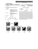 METHOD OF SEGMENTING LESIONS IN IMAGES diagram and image