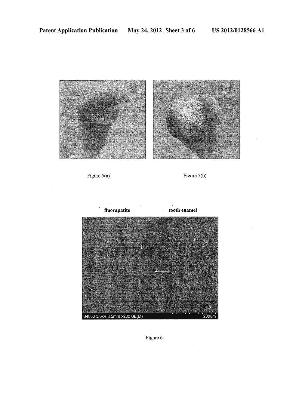 METHOD FOR PRODUCING FLUORAPATITE AND ITS APPLICATION - diagram, schematic, and image 04