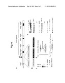 METHODS AND COMPOSITIONS FOR TREATING HEMOPHILIA B diagram and image