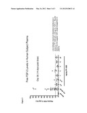 TREATMENT OF CANCER WITH ELEVATED DOSAGES OF SOLUBLE FGFR1 FUSION PROTEINS diagram and image