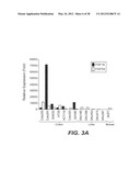 ANTI-FGF19 ANTIBODIES AND METHODS USING SAME diagram and image