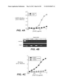 ANTI-FGF19 ANTIBODIES AND METHODS USING SAME diagram and image