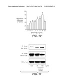 ANTI-FGF19 ANTIBODIES AND METHODS USING SAME diagram and image