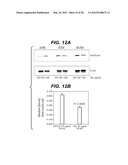 ANTI-FGF19 ANTIBODIES AND METHODS USING SAME diagram and image