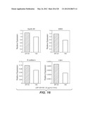 ANTI-FGF19 ANTIBODIES AND METHODS USING SAME diagram and image