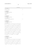 HUMAN CYTOMEGALOVIRUS NEUTRALIZING ANTIBODIES AND USE THEREOF diagram and image