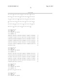 HUMAN CYTOMEGALOVIRUS NEUTRALIZING ANTIBODIES AND USE THEREOF diagram and image