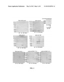 COMPOSITIONS AND METHODS FOR THE REMOVAL OF BIOFILMS diagram and image