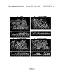 COMPOSITIONS AND METHODS FOR THE REMOVAL OF BIOFILMS diagram and image