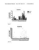 DIAGNOSTIC MYCOBACTERIUM TUBERCULOSIS TEST diagram and image