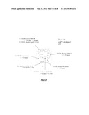 Novel Monensin Derivatives for the Treatment and Prevention of Protozoal     Infections diagram and image