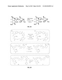 Novel Monensin Derivatives for the Treatment and Prevention of Protozoal     Infections diagram and image