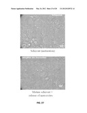 Novel Monensin Derivatives for the Treatment and Prevention of Protozoal     Infections diagram and image