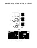 MULTI-PHASE MICROPARTICLES AND METHOD OF MANUFACTURING MULTI-PHASE     MICROPARTICLES diagram and image