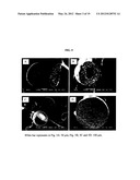 MULTI-PHASE MICROPARTICLES AND METHOD OF MANUFACTURING MULTI-PHASE     MICROPARTICLES diagram and image