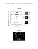 MULTI-PHASE MICROPARTICLES AND METHOD OF MANUFACTURING MULTI-PHASE     MICROPARTICLES diagram and image