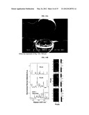 MULTI-PHASE MICROPARTICLES AND METHOD OF MANUFACTURING MULTI-PHASE     MICROPARTICLES diagram and image