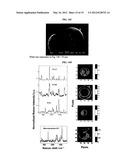 MULTI-PHASE MICROPARTICLES AND METHOD OF MANUFACTURING MULTI-PHASE     MICROPARTICLES diagram and image