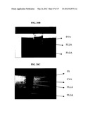 MULTI-PHASE MICROPARTICLES AND METHOD OF MANUFACTURING MULTI-PHASE     MICROPARTICLES diagram and image