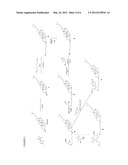 Lipophilic Polynucleotide Conjugates diagram and image