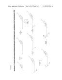 Lipophilic Polynucleotide Conjugates diagram and image