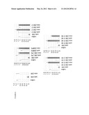 Lipophilic Polynucleotide Conjugates diagram and image