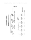 AGENTS FROM FICUS HISPIDA FOR THE AMELIORATION OF METABOLIC SYNDROME AND     RELATED DISEASES diagram and image