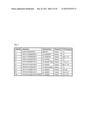 METHODS AND COMPOSITIONS FOR PROTEIN LABELING USING LIPOIC ACID LIGASES diagram and image