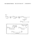 METHODS AND COMPOSITIONS FOR PROTEIN LABELING USING LIPOIC ACID LIGASES diagram and image