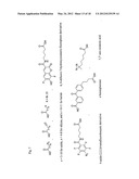 METHODS AND COMPOSITIONS FOR PROTEIN LABELING USING LIPOIC ACID LIGASES diagram and image