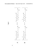 METHODS AND COMPOSITIONS FOR PROTEIN LABELING USING LIPOIC ACID LIGASES diagram and image