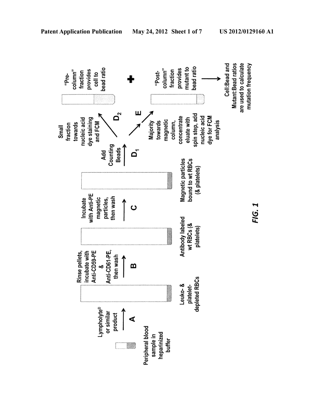 RAPID IN VIVO GENE MUTATION ASSAY BASED ON THE PIG-A GENE - diagram, schematic, and image 02