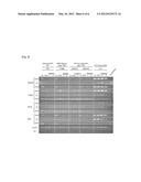 METHOD FOR SELECTING CLONE OF INDUCED PLURIPOTENT STEM CELLS diagram and image