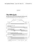 RECOMBINASE POLYMERASE AMPLIFICATION REAGENTS AND KITS diagram and image