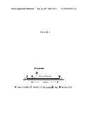 RECOMBINASE POLYMERASE AMPLIFICATION REAGENTS AND KITS diagram and image